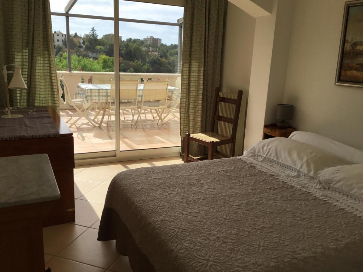 Villa Paradiso, Logement Avec Piscine, Nice Nord 外观 照片
